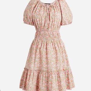 Jcrew M Tall Puff-Sleeve Dress in Ccattered Blooms